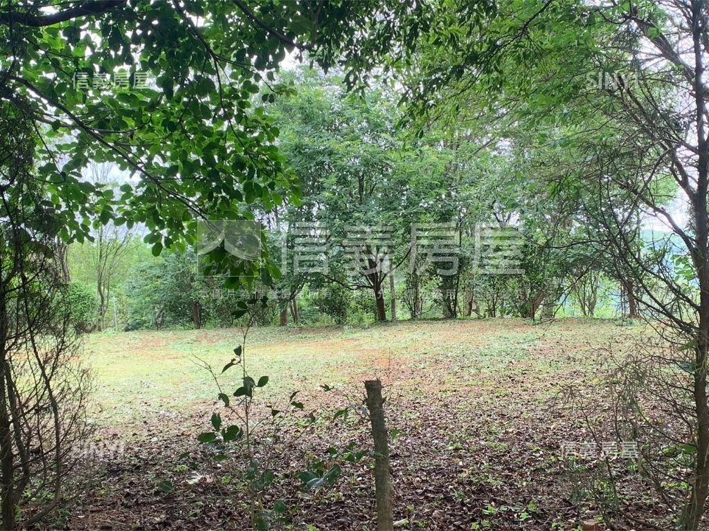 千坪雙面臨路櫻花大農地房屋室內格局與周邊環境