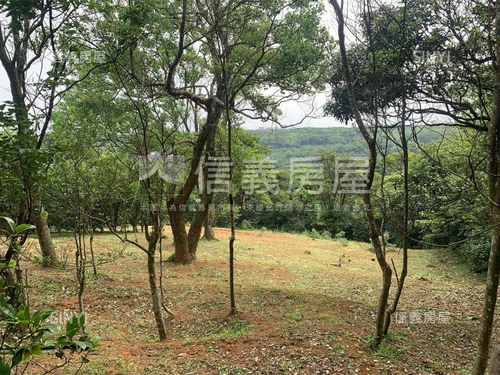 千坪雙面臨路櫻花大農地房屋室內格局與周邊環境