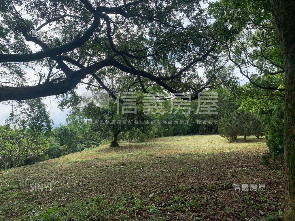 千坪雙面臨路櫻花大農地房屋室內格局與周邊環境