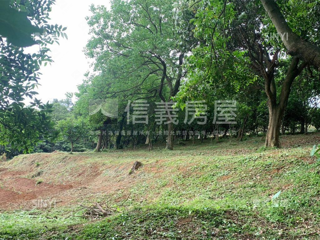千坪雙面臨路櫻花大農地房屋室內格局與周邊環境