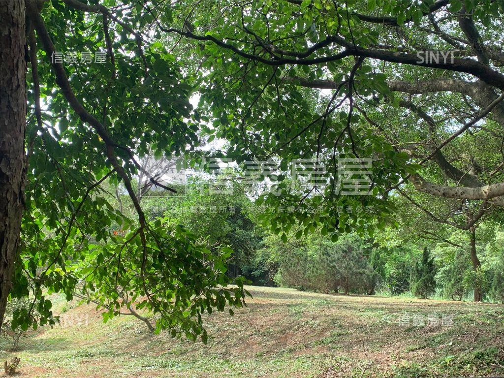千坪雙面臨路櫻花大農地房屋室內格局與周邊環境