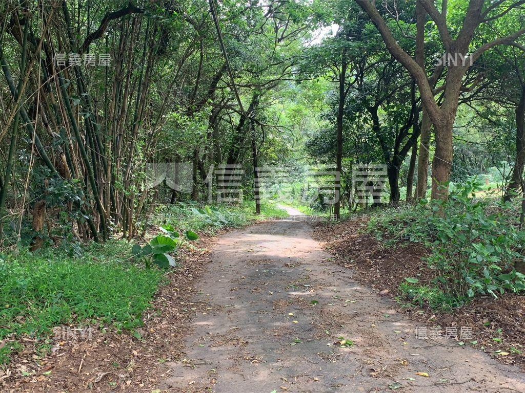 千坪雙面臨路櫻花大農地房屋室內格局與周邊環境