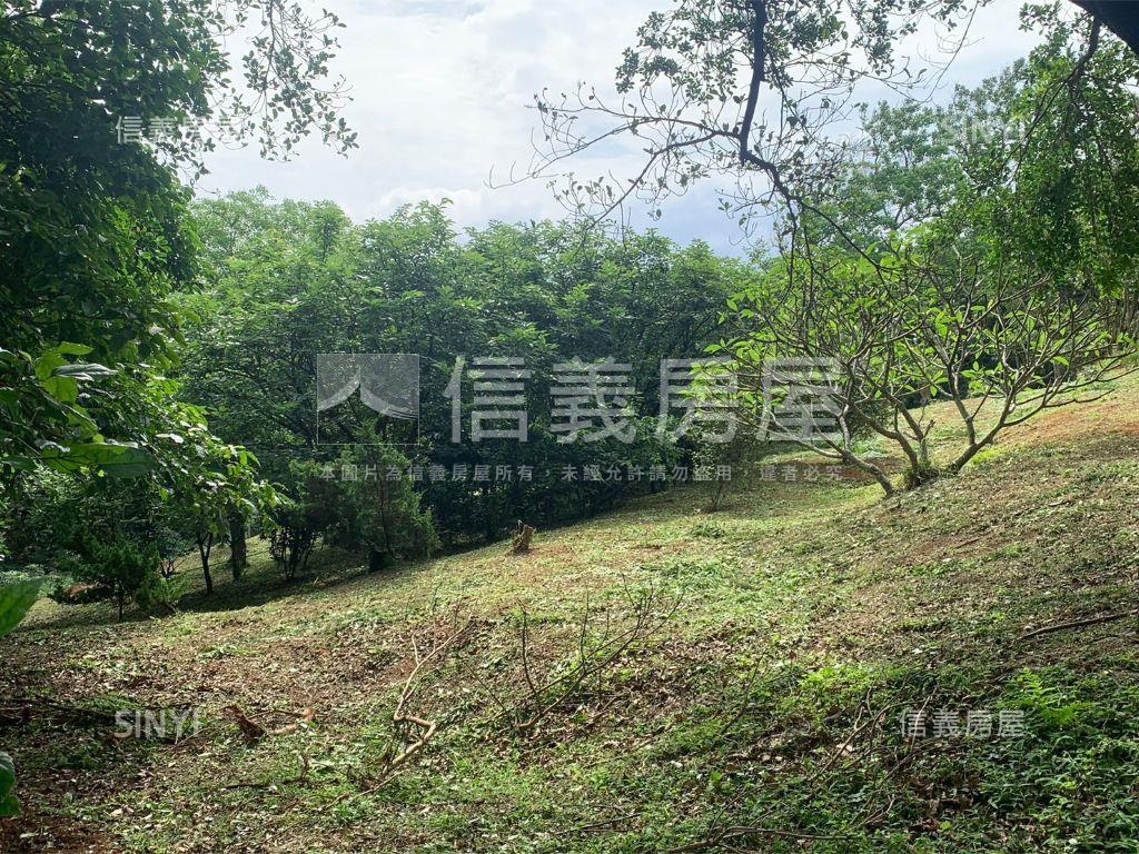 千坪雙面臨路櫻花大農地房屋室內格局與周邊環境