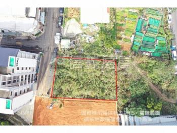 龍潭梅龍鄰路土地