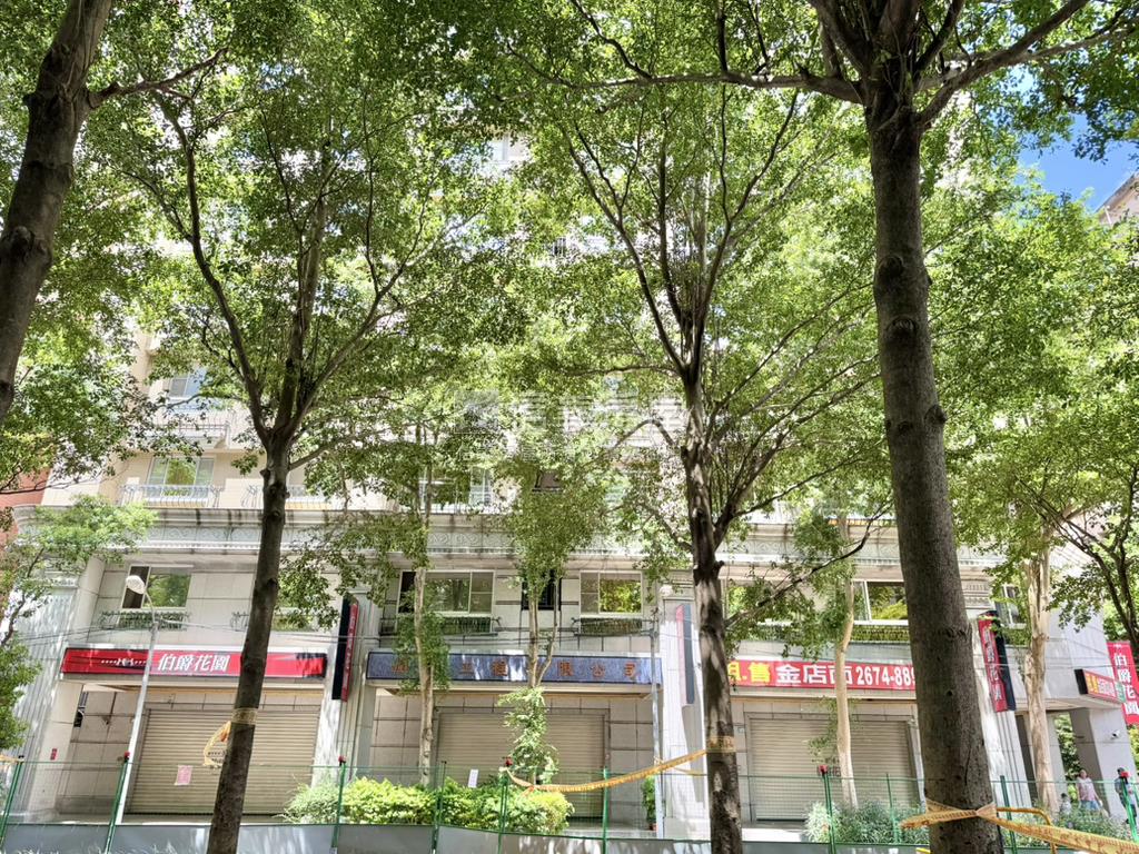 伯爵花園•小資美宅房屋室內格局與周邊環境