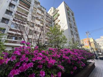 近中壢車站小資套房