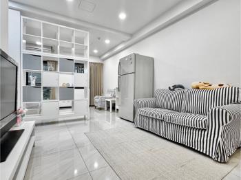 美術白天鵝收租質感美宅