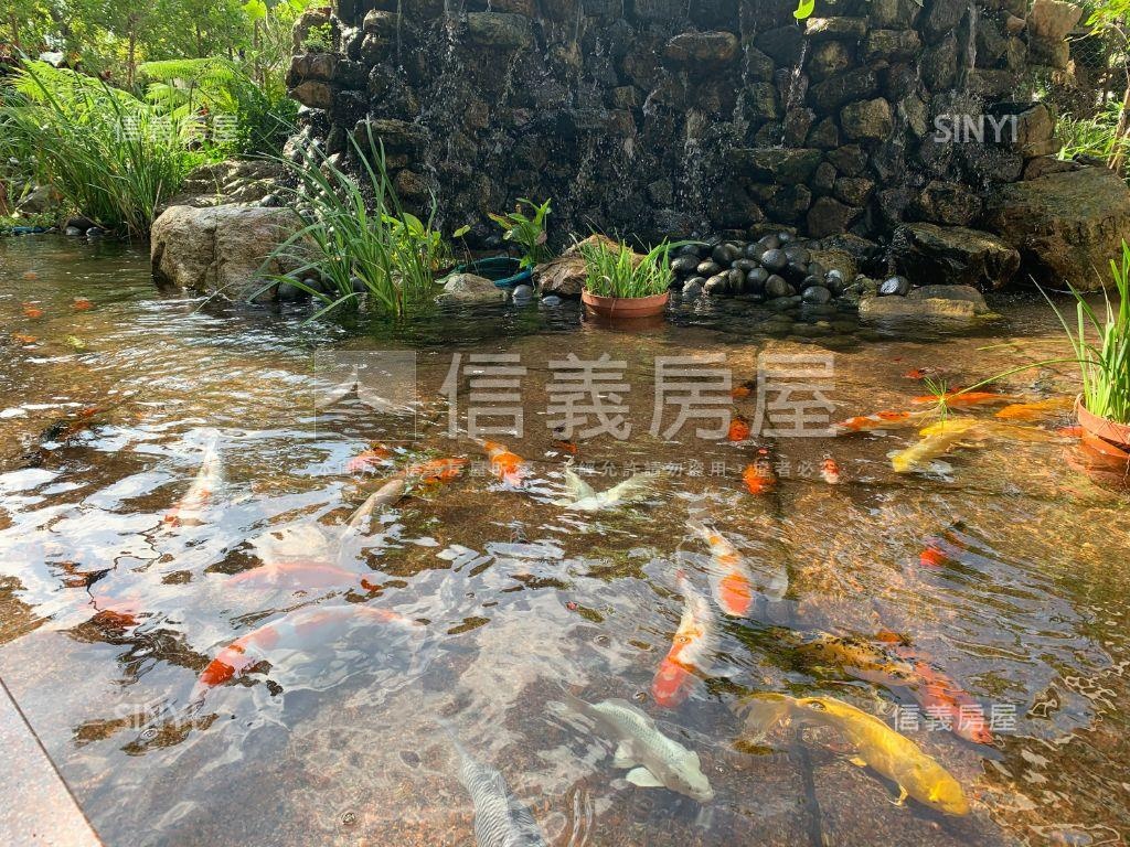 專任·希望城市三房房屋室內格局與周邊環境
