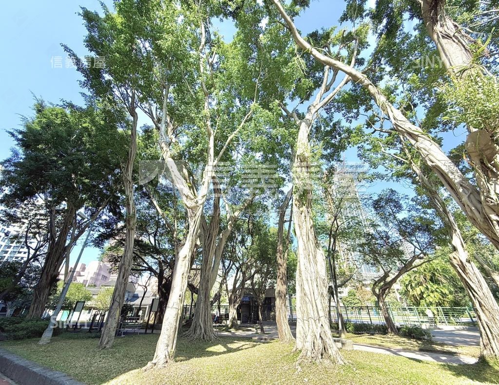 綠園社區外觀及周邊環境