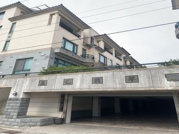 正乙翡翠No11