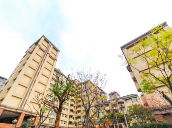 民權欒樹園