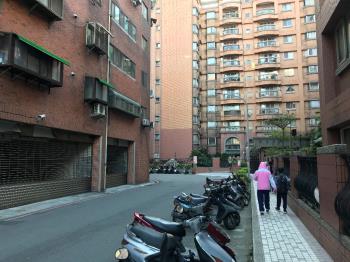 榕樹下