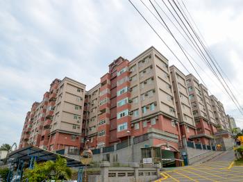 太極新村