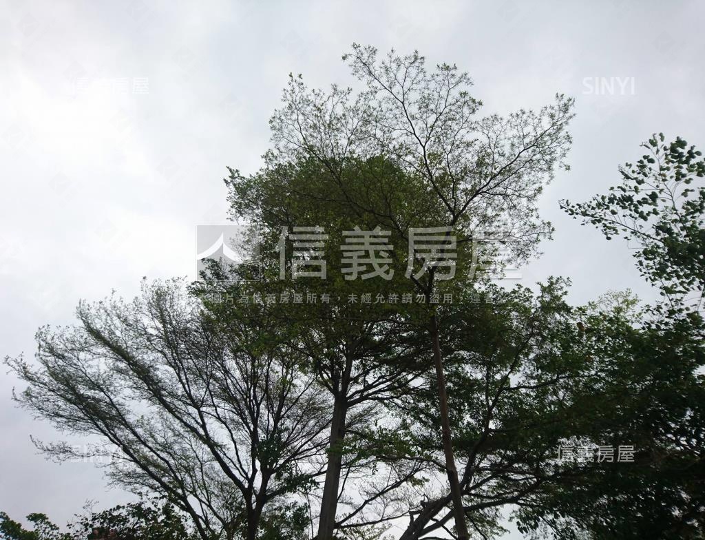 湯布院社區外觀及周邊環境