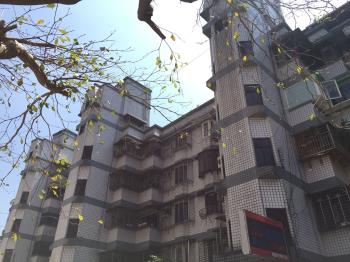 樟新華廈A
