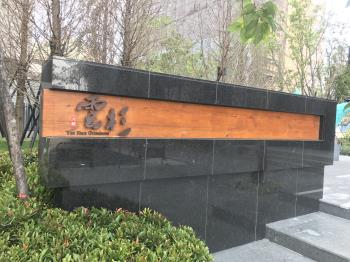 大城雲杉