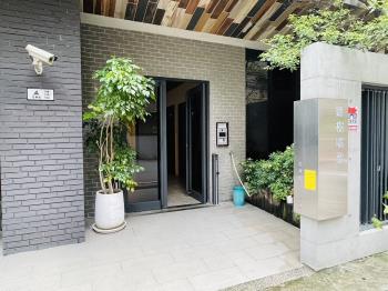 聽樹唱歌