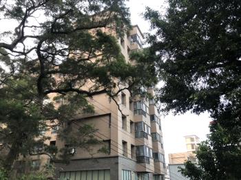 綠灣