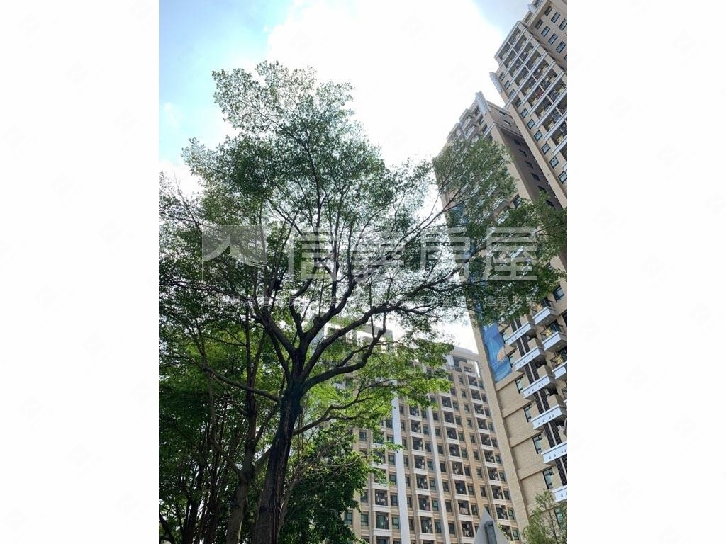 微笑世紀B區/雲品特區社區外觀及周邊環境