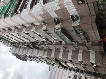 台北新都會