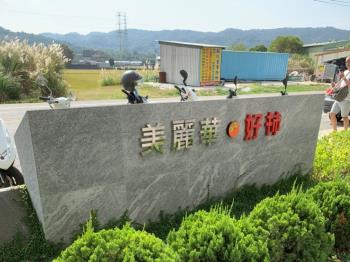 美麗華好柿