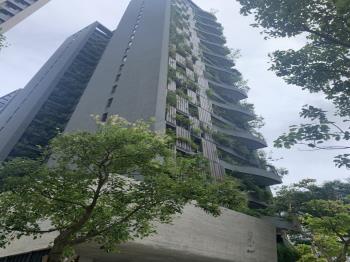 若山NO3若蒔山