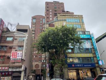 森之頌