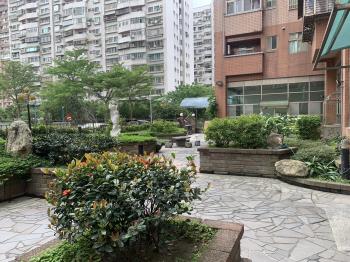 淡水芳鄰