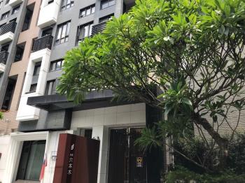 台北六本木