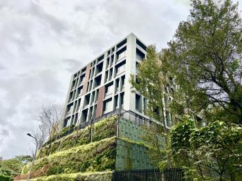 樹山丘