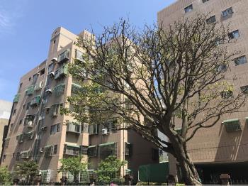 附小巧筑