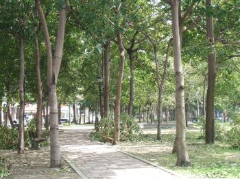 錦德名廈