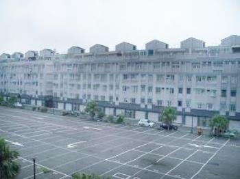 文化大賞
