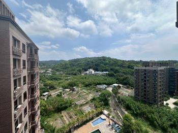 次頂樓山景三房車 - C324592
