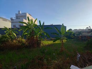 安南│溪心段角窗土地 - C341712