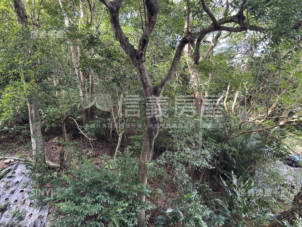 山丘庭院綠意美屋 - Image 13