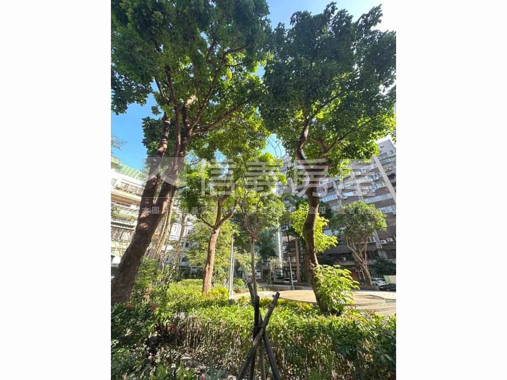 大安綠意３房坡平車 - Image 19