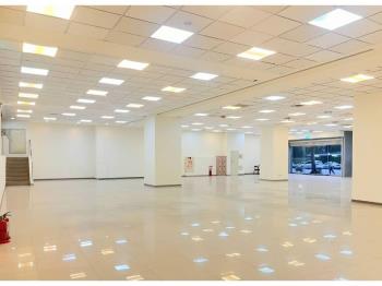 水湳敦化公園大坪數店鋪 - C352514