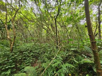汐止鄉長厝段農牧用地 - C352965