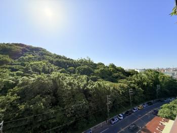 景自慢清幽兩房 - C356072