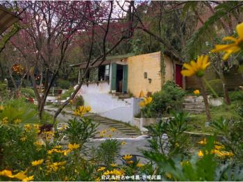蒙馬特秘密莊園 - C367122